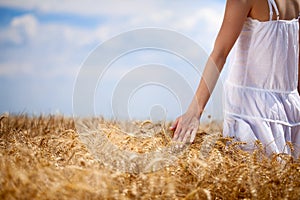 WomanÃ¢â¬â¢s hand touching wheat